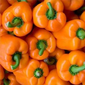 Tamnozelene, svijetlozelene, žute, narančaste, crvene boje… slatka, poluljuta, ljuta.. paprika je neizostavna na meniju. Njezini sastojci  djeluju na organizam kao antidepresiv, antiseptik, diuretik i moćan afrodizijak.